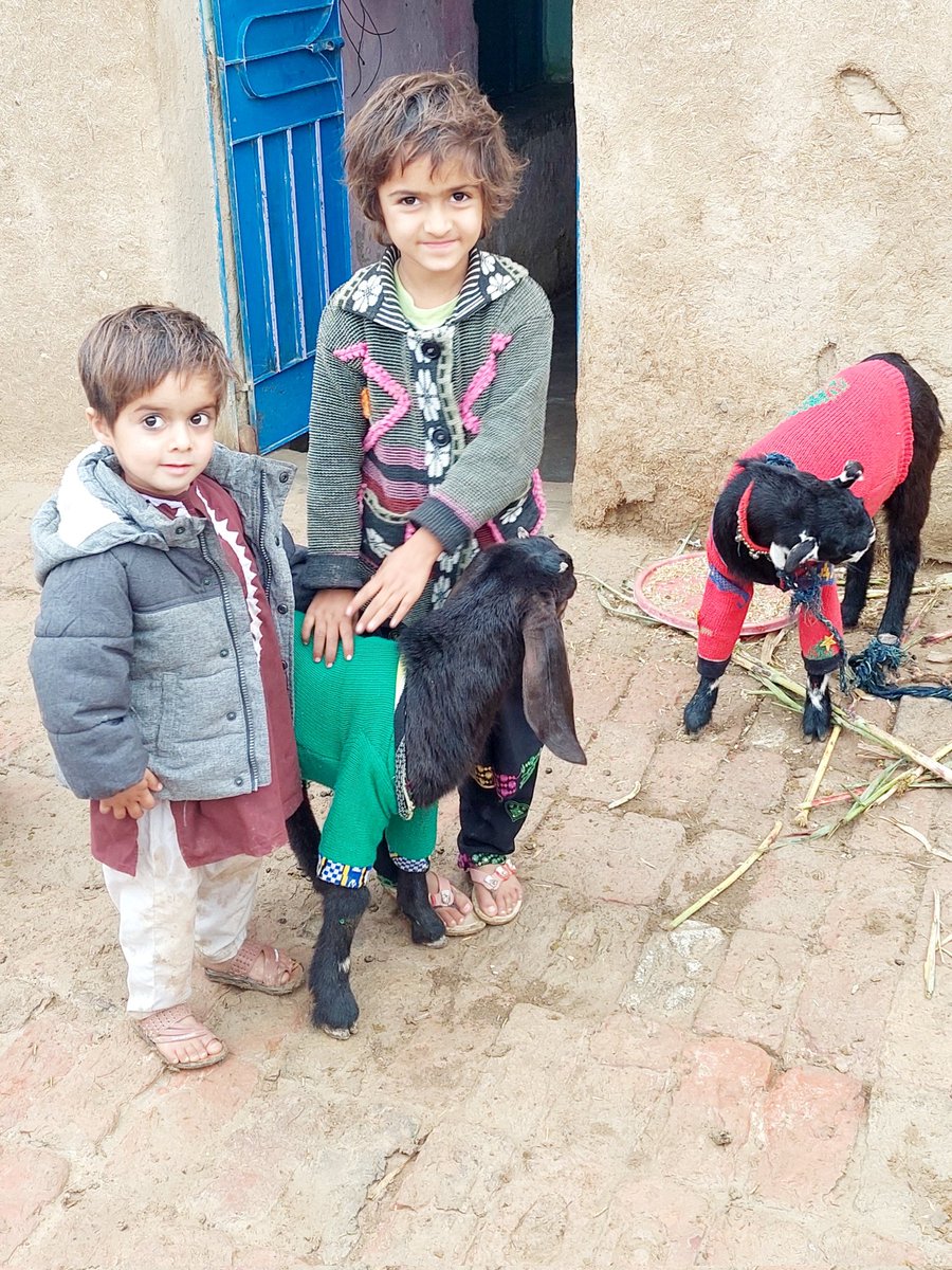 RustmaniWaris's tweet image. 