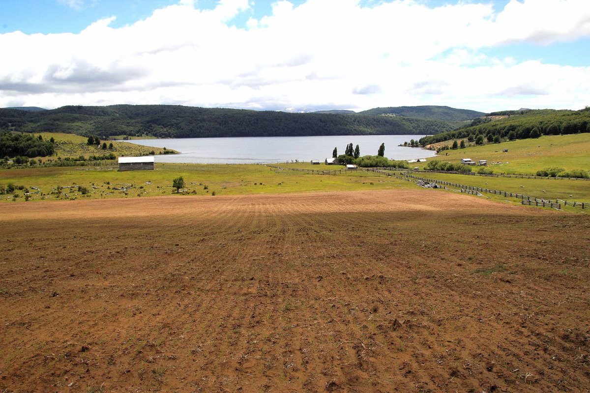 sagchile's tweet photo. @sagchile región #Aysén informa que a partir del 12 de enero se encontrará abierto el concurso N°2 #SIRSD-S para las comunas de #Aysén y #Coyhaique. Bases y listados de operadores estarán disponibles en las oficinas del SAG. https://t.co/GFmW3jEW7y