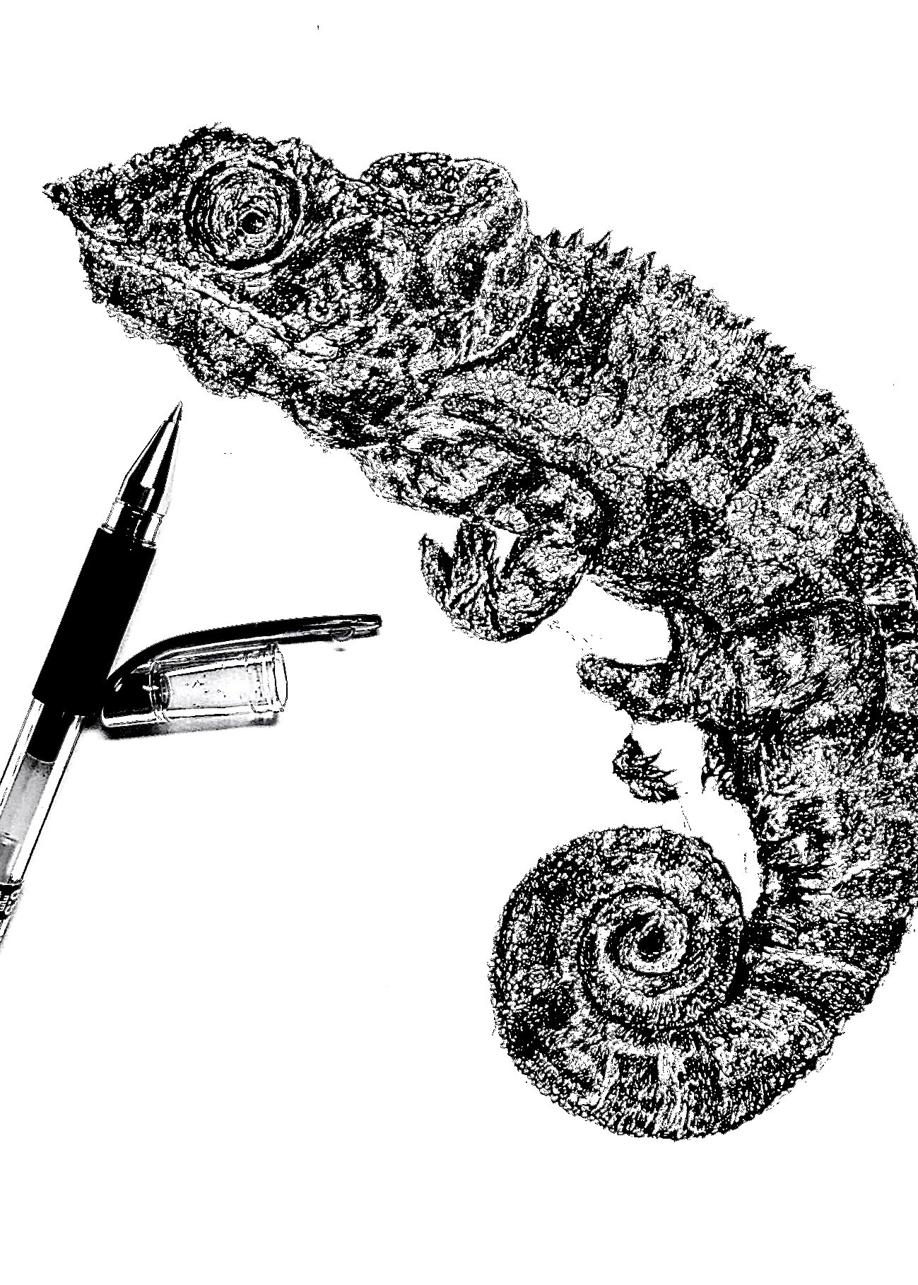 めら 生物イラスト ボールペンで描いたカメレオン 高校生の時の過去作 クロッキー帳にボールペンで一発描き ペン画 イラスト 絵描きさんと繋がりたい T Co Hbrb7bu2fh Twitter めら 生物イラスト ボールペンで描いたカメレオン 高校生の時の過去作 クロッキー帳にボールペンで一発描き ペン画 イラスト 絵描きさんと繋がりたい T Co Hbrb7bu2fh Twitter