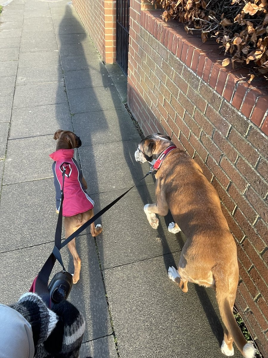 Well this was tricky 😂