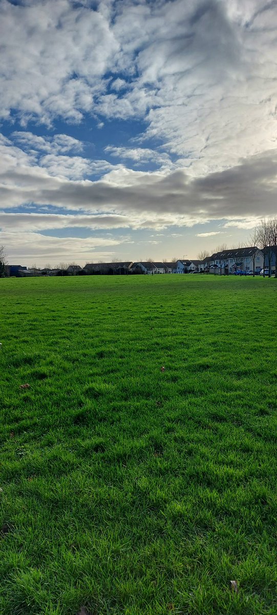 Donna Spratt tweet media