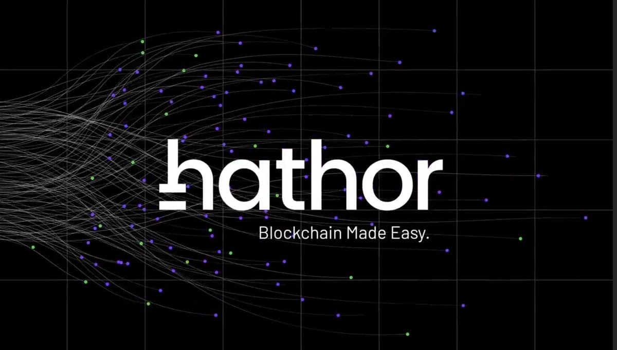 X100 HUNTER tweet media