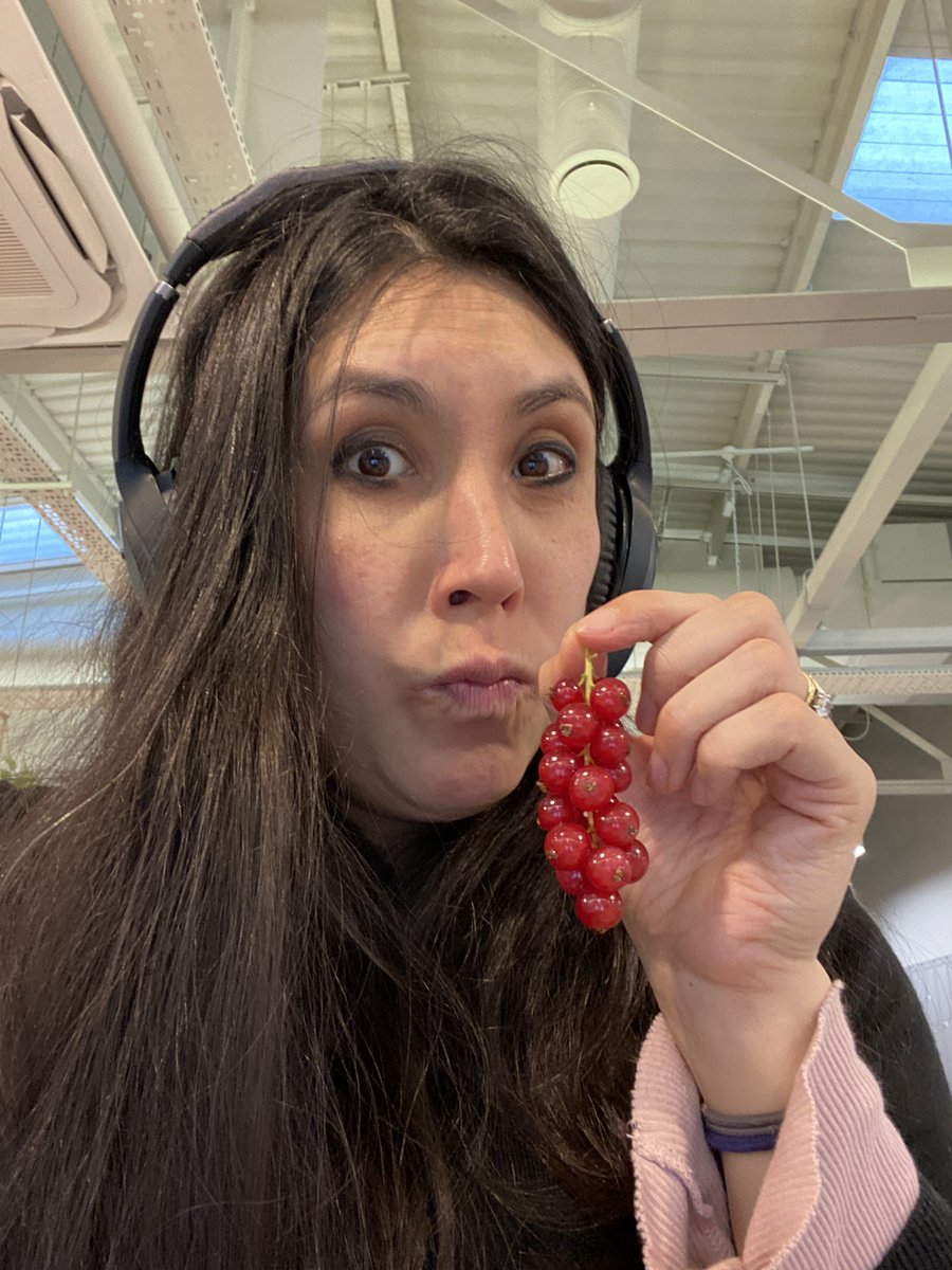 HelloFittyLDN's tweet image. Anyone else got a thing for redcurrants? Tell us, do you eat them straight or with dessert etc?