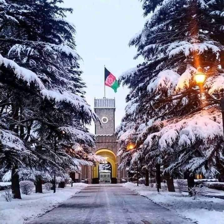 KarimiGolali's tweet photo. کوم بیرغ مینوال یاست? دری رنګه بیرغ لایک.او طالبانو د تحریک بیرغ ريټویټ کړئ اوس به وګورو چامینوال زیات دي. https://t.co/k01grUdThS https://t.co/niGw7T6CSx