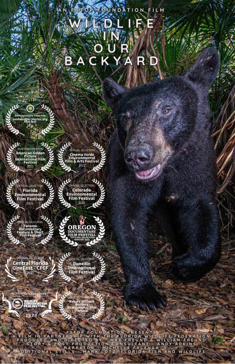 WILDLIFE IN OUR BACKYARD
Friday, January 14 ,7:45pm @Pisces Sushi and Global Bistro

Members of the <a href="/fstopfoundation/">fStop Foundation</a> and <a href="/FlWildFed/">Florida Wildlife Federation</a> placed cameras in 17 backyards in  southwest Florida to capture the diverse wildlife living among us. #diffestival2022 #floridawildlife