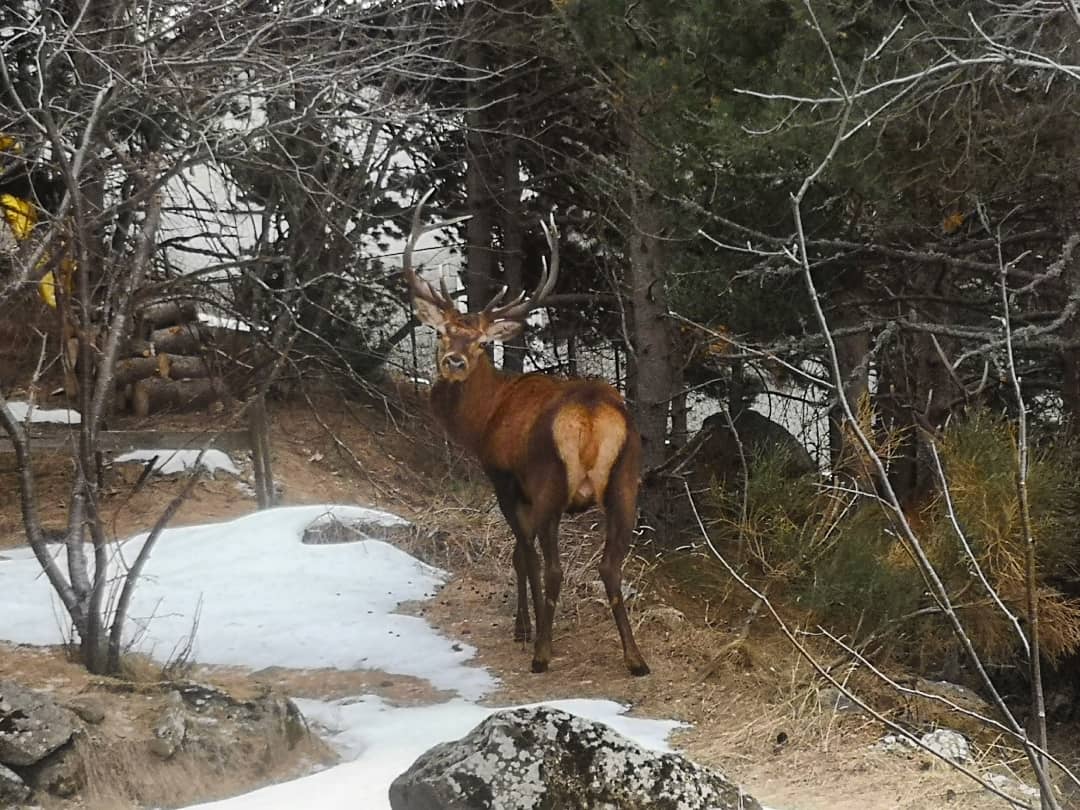 Vincent Thomas tweet media