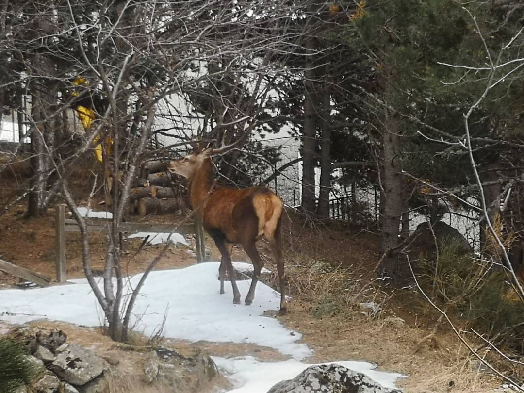 Vincent Thomas tweet media