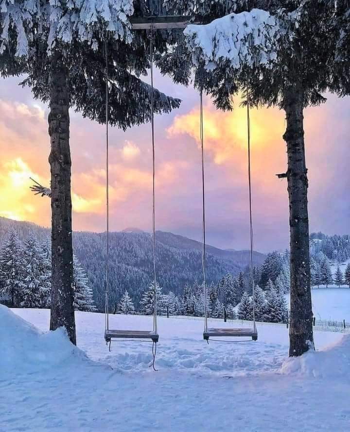 The company of pride is loneliness...😍🤗🤩