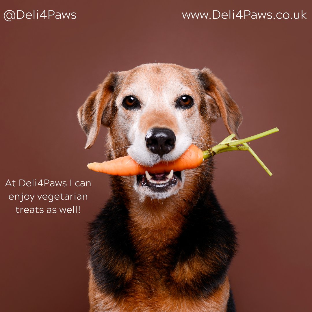 Vegetarian treats are available and our range is expanding.

Visit Deli4Paws.co.uk to view our full range of cat and dog natural treats, gourmet snacks, hand baked dog bones &amp; biscuits as well as dog chocolate sweet treats.

Happiness in a box!

#Deli4Paws #Smallbizuk