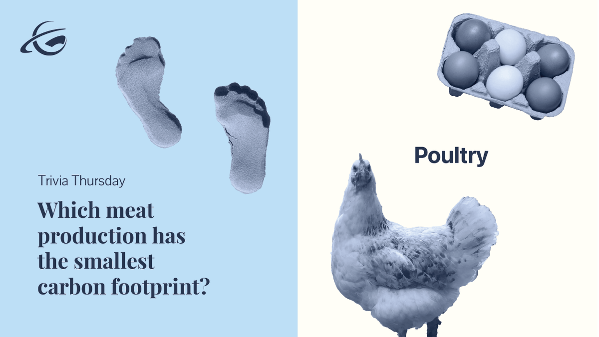 GCworldnews's tweet photo. If you're going to eat meat, you might want to go with poultry! Learn other ways to make a difference in the fight against climate change by visiting https://t.co/DaIs7EAr86
.
.
.
.
#MeatlessMonday #meat #globalconscience #gcw #globalconscienceworld #environment #climatechange https://t.co/38WFYAZsJR