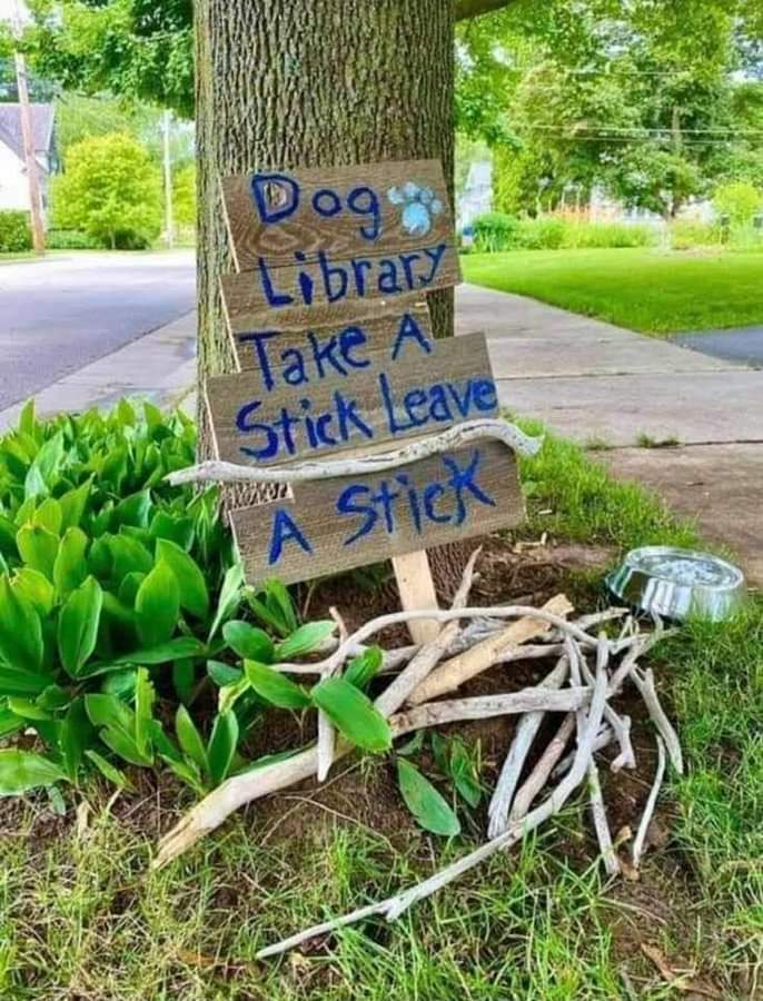 I can see this being an area of growth for libraries in 2022.