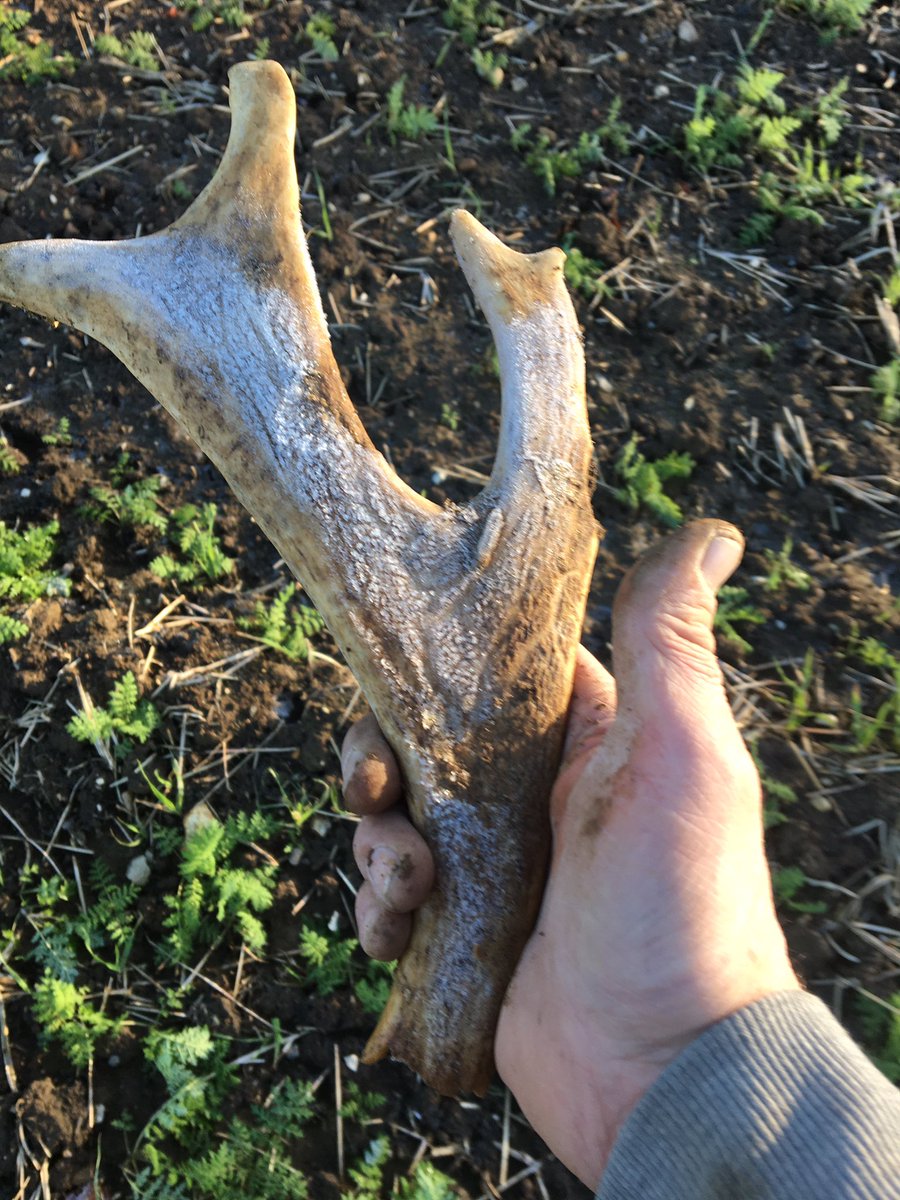 Checked out a new permission today looks very promising 👍🏻