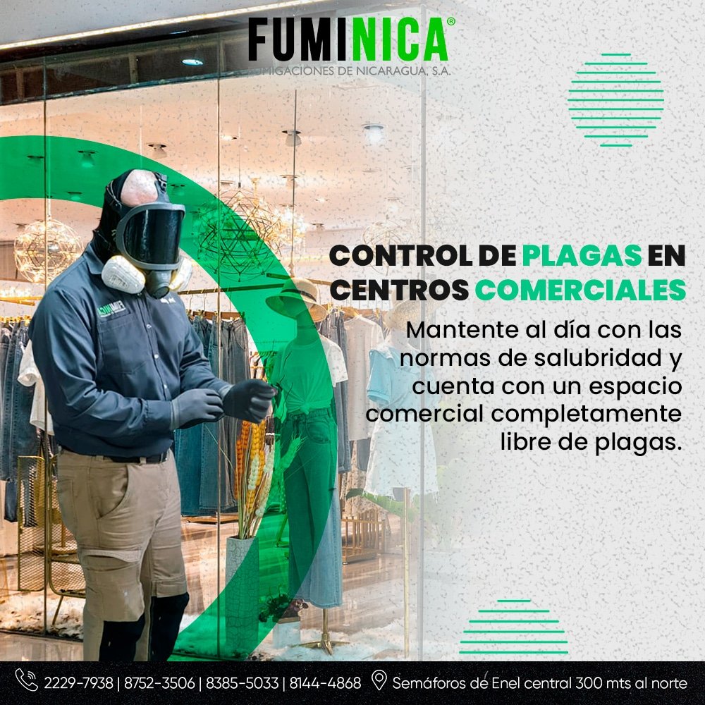fuminica tweet picture