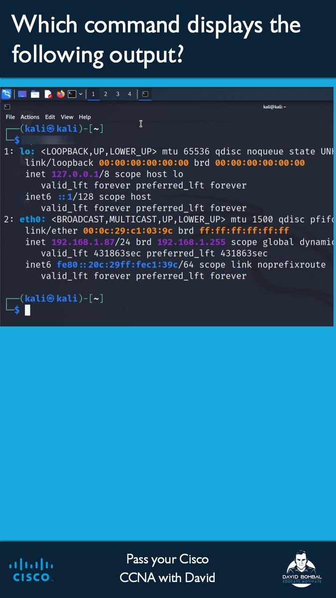 David Bombal tweet media