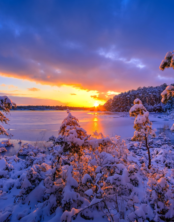 BrandonTriminio's tweet photo. Good morning!
#NaturePhotography https://t.co/ZDUPAg7TP4