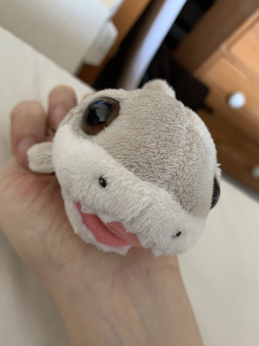 When I was 9, I lost my favourite toy Sharky on a flight to Australia. Today my niece (4) proudly presented me with a new one having been told the story last week. I just can’t ❤️.