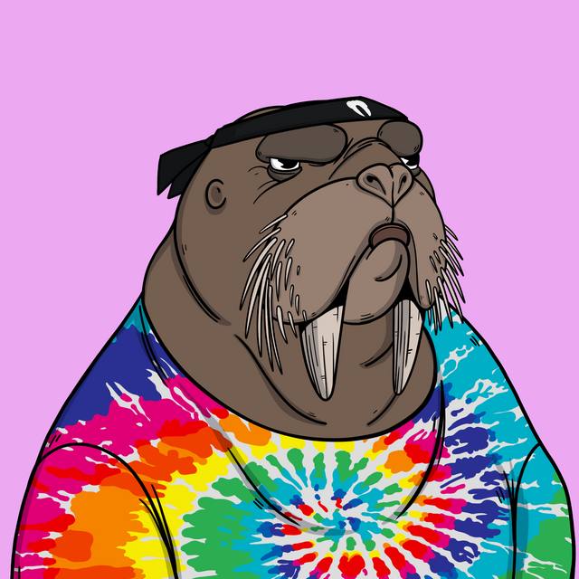 NuttyNarwhals's tweet photo. 🥳Win this sexy Walrus + 1 free Narwhal mint🥳

We love our ocean brothers at @WATwalrus 

So heres a giveaway:

✅Follow and RT
✅Join our Discord: https://t.co/FKsufxxVLU
✅Comment: Done + your Discord ID

A random winner will be picked in 48 hours!

#WATW #Aurf #NuttyNarwhals https://t.co/pejP9cA8tG