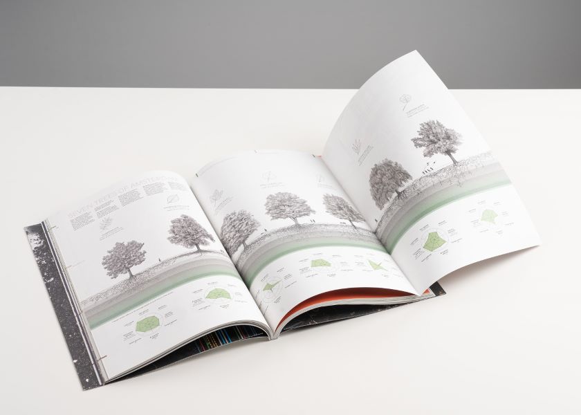 A few months ago Inside Outside contributed to the publication BiodiverCITY: A Matter of Vital Soil, initiated by the <a href="/AmsterdamNL/">Gemeente Amsterdam</a>.
A publication about the underground and its importance in a sustainable approach to urban planning. lnkd.in/eXp6hVdE