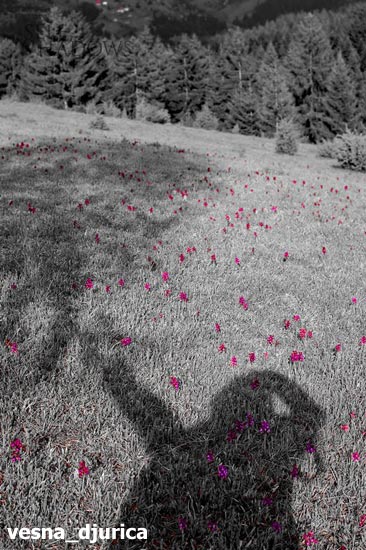 jbedrina's tweet photo. 【Sᴇʟғsʜᴀᴅᴏᴡs 2.0】
👥 A Worldwide Photographic Open Project since 2005.
📷 Make your own selfshadows and participate.
👉 https://t.co/BW0bekhyCs
#selfshadows #picoftheday #photooftheday #instadaily #shadowoftheday #shadowhunters #murk #oscuridad https://t.co/mYHYYK5S1Y