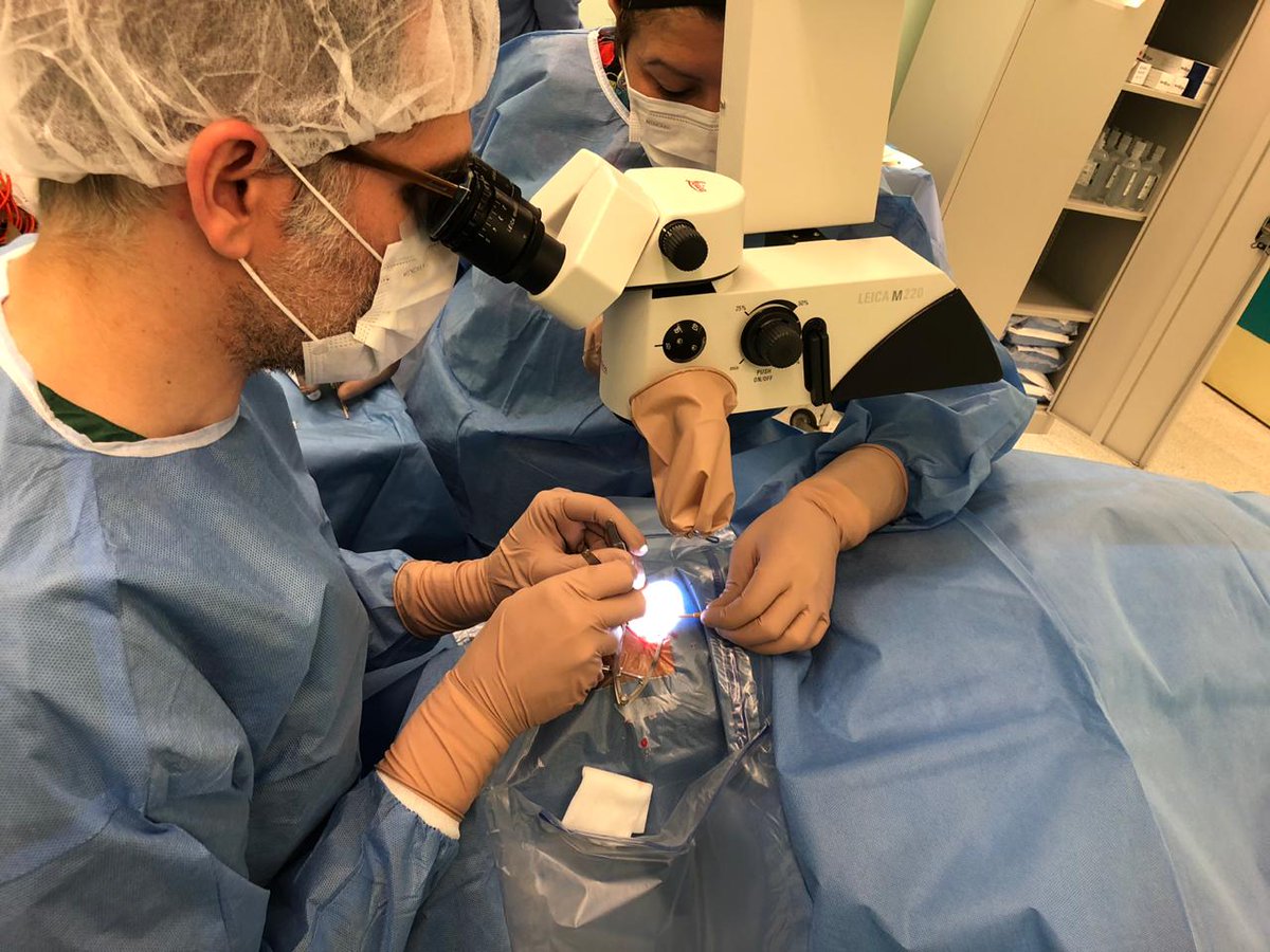 Durante 2021, la red del Servicio de Salud Del Reloncaví se posicionó en el primer lugar a nivel nacional en la tasa de donantes efectivos, con ocho procuramientos realizados en el Hospital Puerto Montt. Más información en ➡️cutt.ly/rUXCTjA