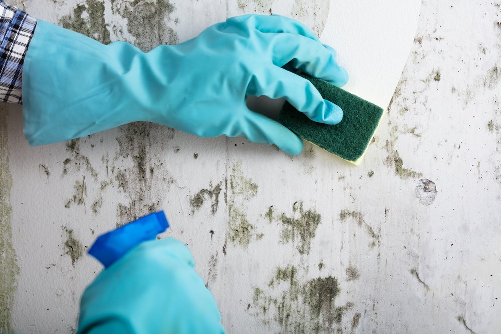 We offer Walls Cleaning Services at Green Icon Cleaning Services. Our highly trained and experienced cleaning crew removes all the stains and dirt stuck on the walls and the walls retain their original color and texture. Call, text or what's app us today via 0713 163 918