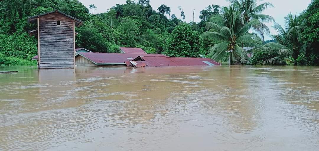 Situasi sore menjelang malam (Rabu Januari 2022) di Desa Payang, Ds. Ubol Alung dan Ds. Batung, Kec. Lumbis Ogong, Kaltara. Ketinggian air hampir mencapai atap rumah. cc <a href="/jokowi/">Joko Widodo</a> <a href="/hnurwahid/">Hidayat Nur Wahid</a> <a href="/BNPB_Indonesia/">BNPB Indonesia</a>
<a href="/PartaiSocmed/">#99</a> <a href="/YuLianiYuLianis/">Yuliani</a>