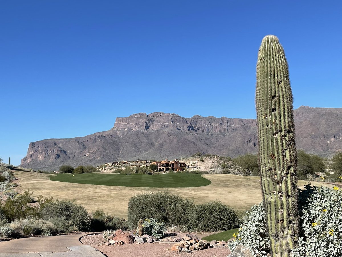 bdimaranan's tweet photo. Looking for my golf ball, it came around this cactus. https://t.co/3romqnIJyO