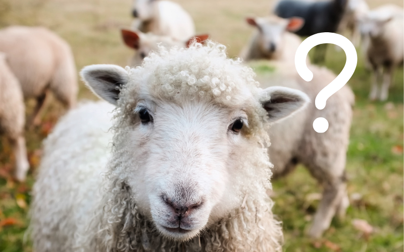 What is Fleecehold? - chartsedge.co.uk/what-is-fleece…