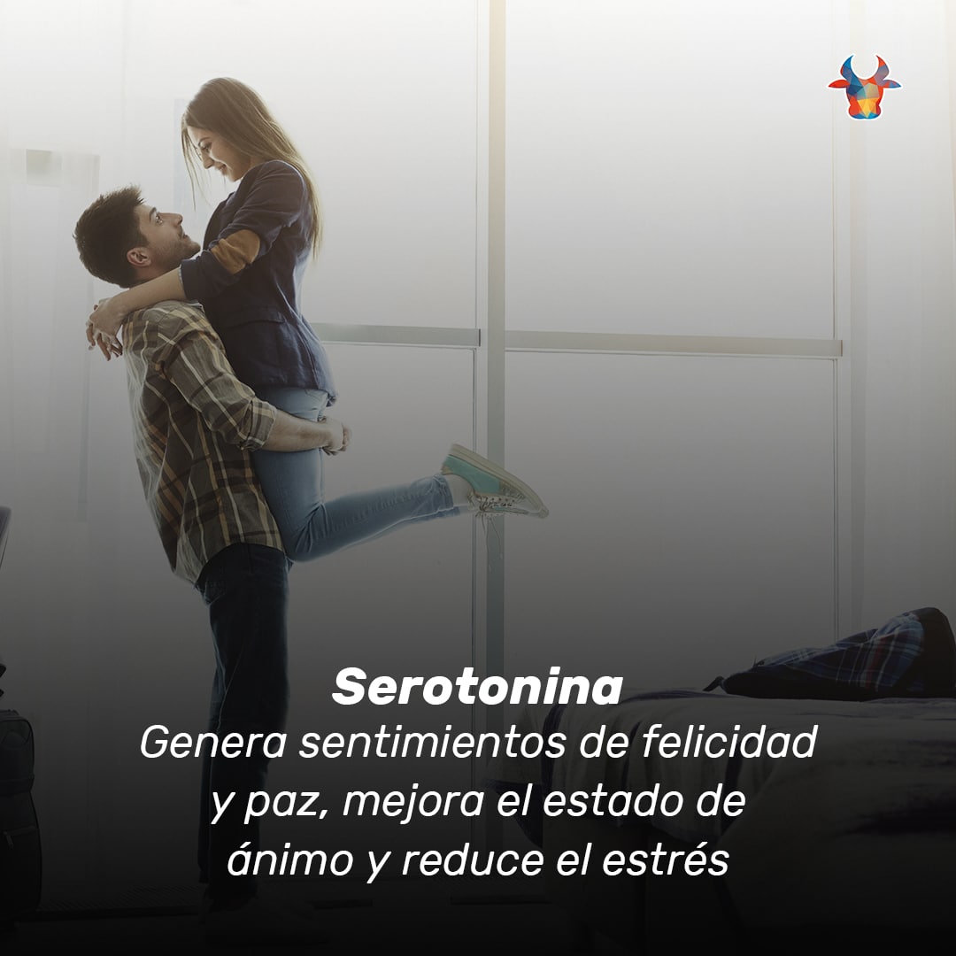 kristelcondoms's tweet photo. Tu #cerebro se enciende con el #Sexo
Nuestro #cuerpo libera muchas #hormonas durante el #actosexual:

#Kristalizate y libera hormonas de #satisfacción https://t.co/pQcyb4gsQd