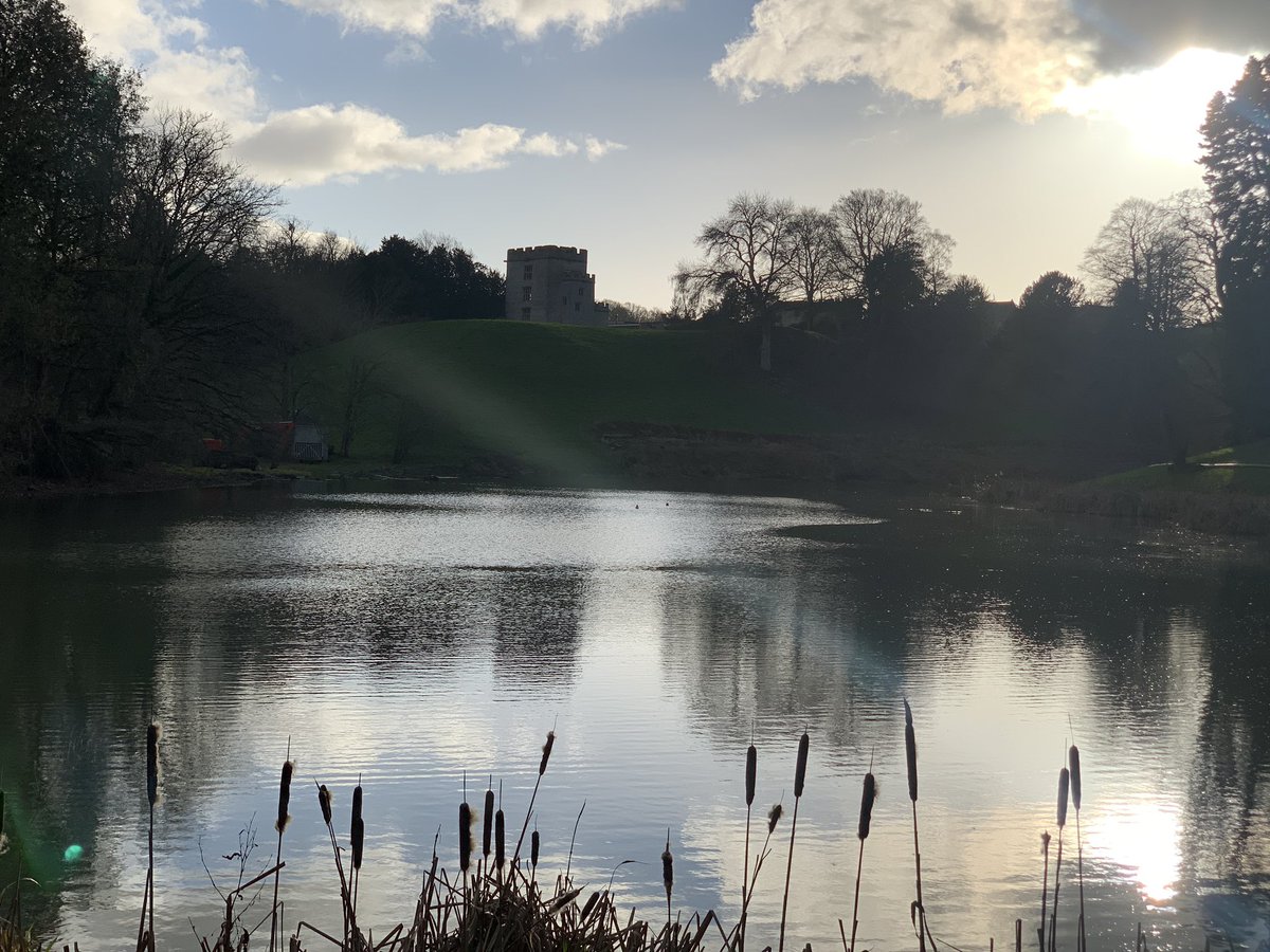 Jane Flood tweet media