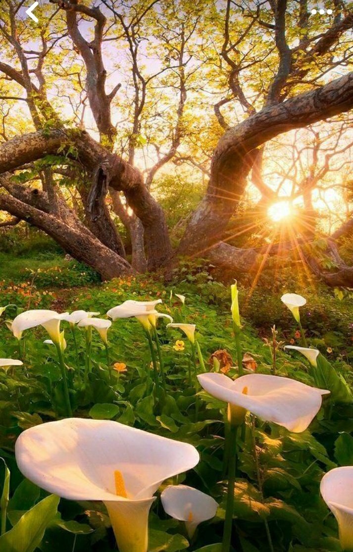 The best mother for me &amp; all of people...
#fatima