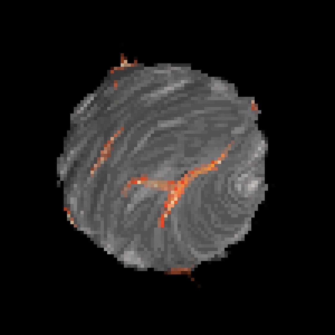 XFLOKIVERSE tweet media