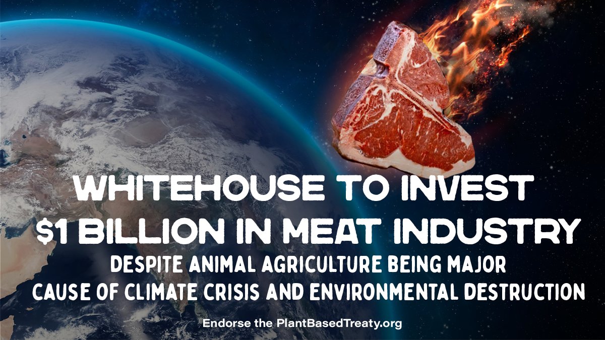BClimateSave's tweet image. If Biden is serious about Methane Agreement; why is the $1 Billion subsidy going to animal agriculture? 

Redirect meat subsidies to plant-based to redirect Biden’s Planet Killer comet. 

@SecVilsack @USDA @EPA @POTUS
#StopBidenMeatComet #DontLookUp