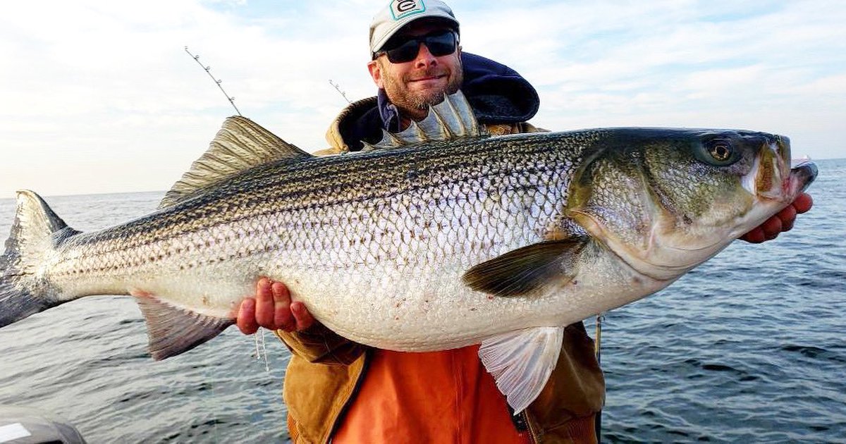 CortlandLine's tweet photo. How big?! #fishing #cortlandline #strippedbass #masterbraid https://t.co/3cG3VJVvwV