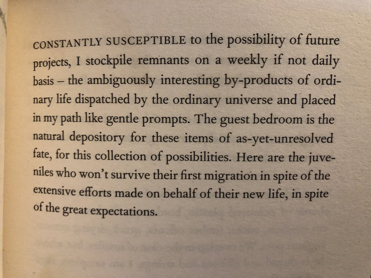 “Susceptible to the possibility of future projects” - Sara Baume, I feel you. 

Handiwork is everything I need right now; a reminder to use my hands and heart as much as my head, and to be connected to materials both physical and not, present and missing. ❤️