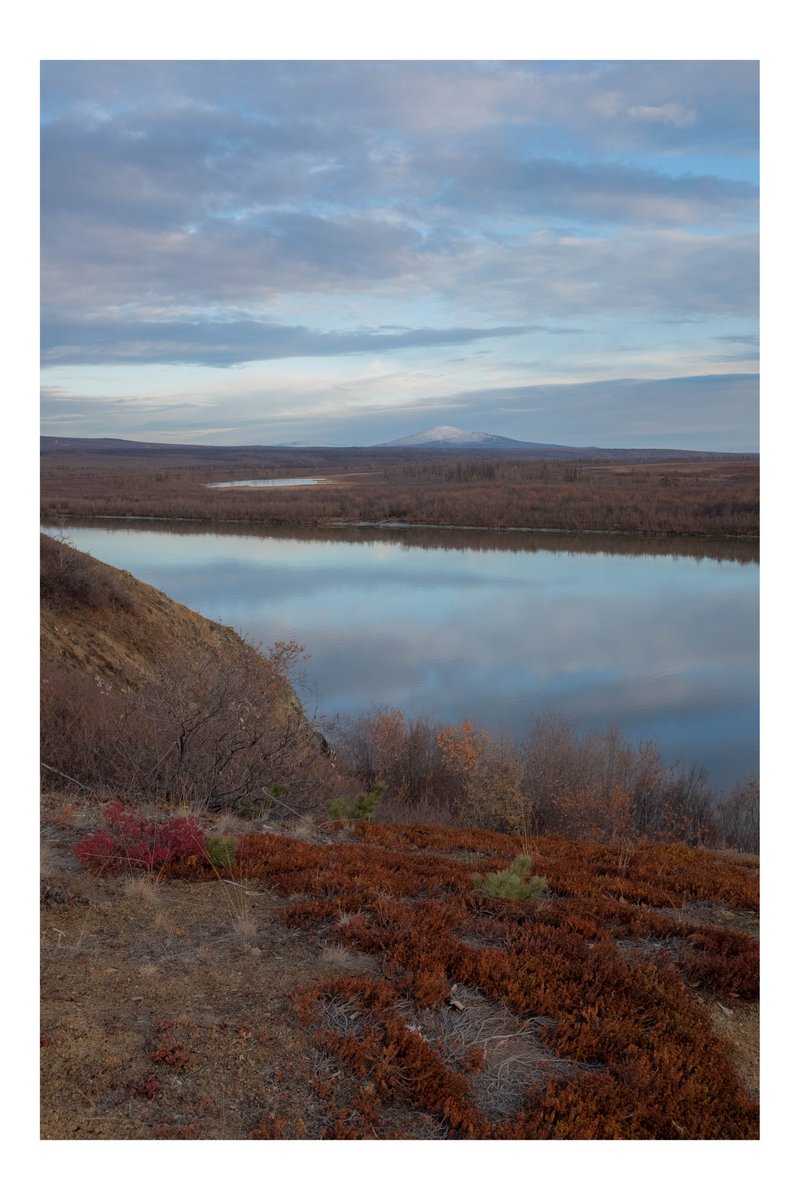 GuillaumeProts1's tweet photo. Souvenirs de #Chersky à l'automne dernier. #pleistocenepark #permafrost https://t.co/5zqR8bf8Z4