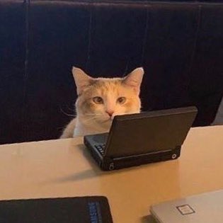 catspar's tweet photo. #NewProfilePic https://t.co/oKl2ytEakO