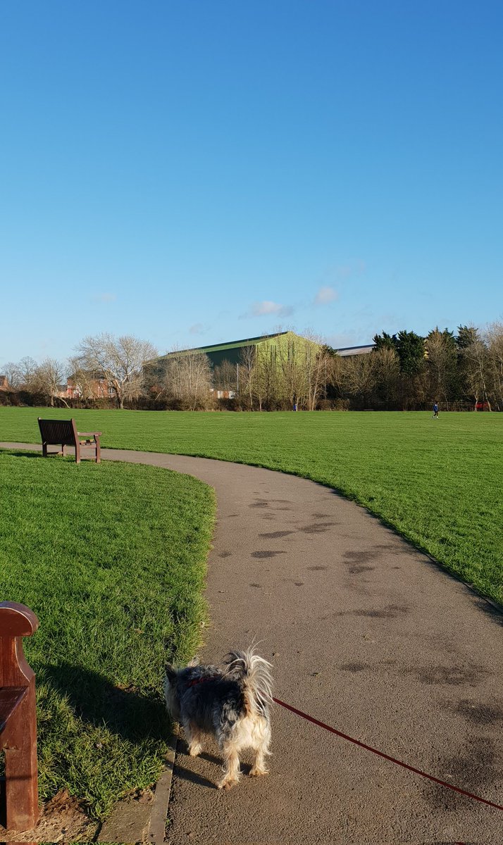 JACK BovverBoy 🐕 tweet media