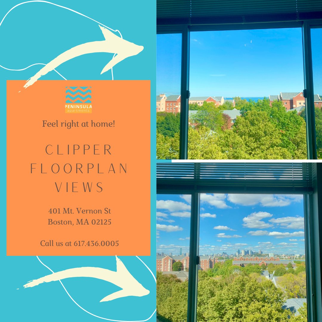 PeninsulaBoston's tweet photo. Views from the 6th floor Clipper apartment 😌 You can secure this beautiful apartment Today!
.
.
.
#peninsulaboston #bostonapartments #2b2b https://t.co/WbODFisPmB