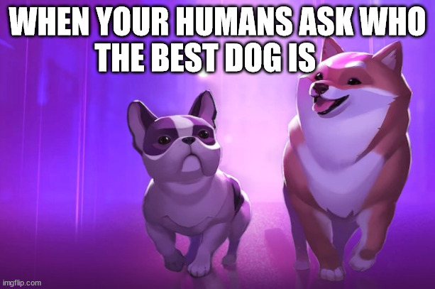 AmazingPlans's tweet photo. @Dogami #DogaMeme  
I'm really excited about this project !!!! i want to adop my puppy !
@animocabrands https://t.co/Cq6vJT17eK
