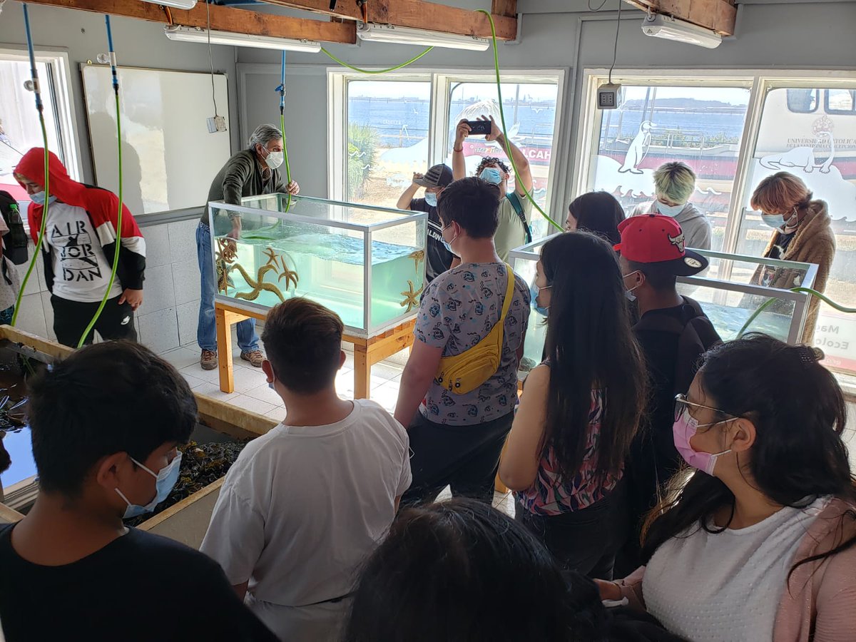 ucscconcepcion's tweet photo. #VinculaciónUCSC: Descubriendo el mundo del mar: Fundación Ciudad de Niño de Hualpén, realizó esta mañana una visita al Laboratorio Costero de Lenga de @CienciasUCSC. El profesor Dr. Ricardo Otaíza y estudiantes de Magíster guiaron a los jóvenes. https://t.co/R81P9sY9ik