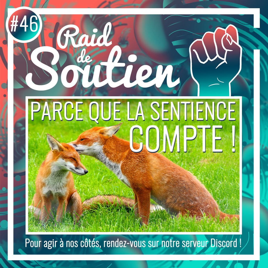 PMeduses's tweet image. 📣CE SOIR 20H : RAID DE SOUTIEN #46 ! Nous soutiendrons 3 organisations #sentientistes : @SentienceInst, @Sentiencesuisse et @SentienceRennes, pour rendre davantage visible ce concept et les implications éthiques qui y sont liées. 🦊🦀🐟

#ProjetMéduses #LuttesSociales #sentience
