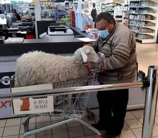 NachoGarciaR's tweet image. Ikea ya vende jerséis.