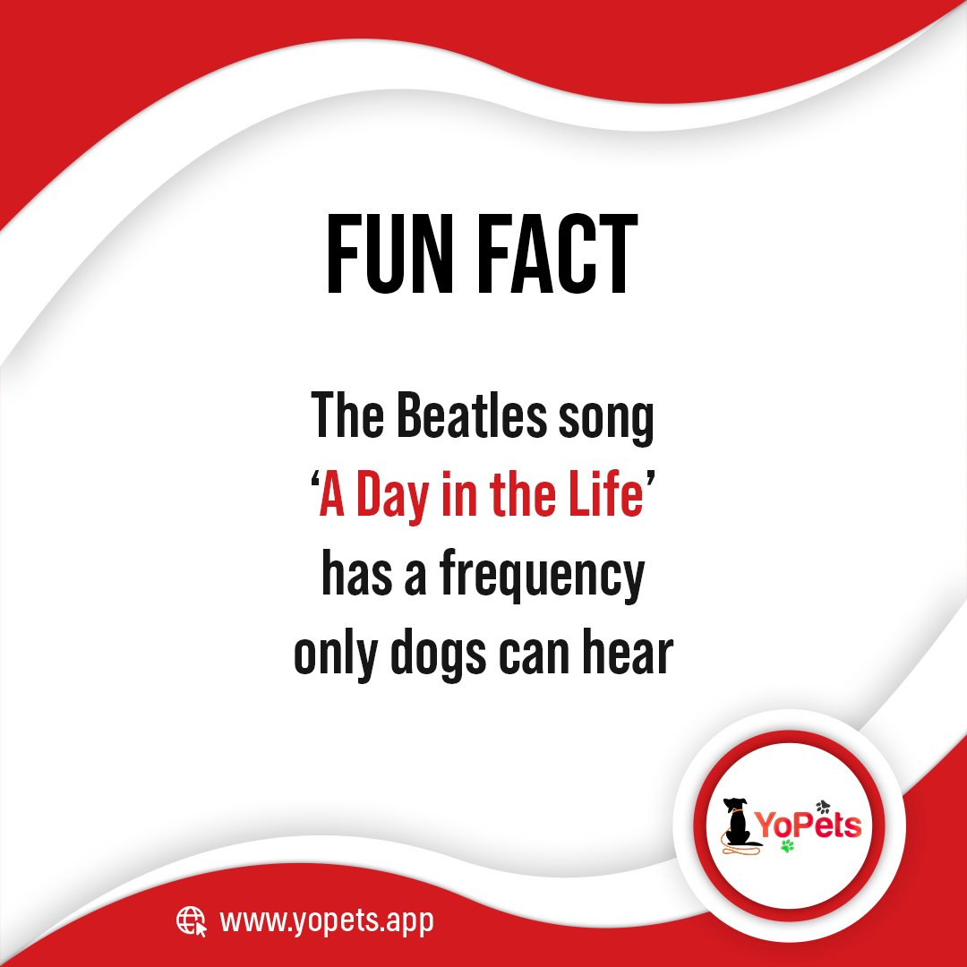 What Frequency Can Only Dogs Hear