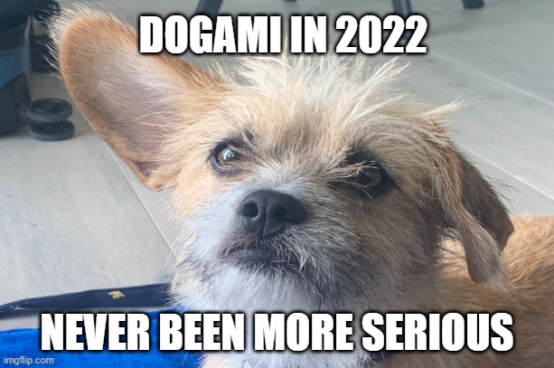 PeLuVaMo124's tweet photo. #DogaMeme @Dogami told ya my dog itself is a mem! https://t.co/nnKXclpXjb