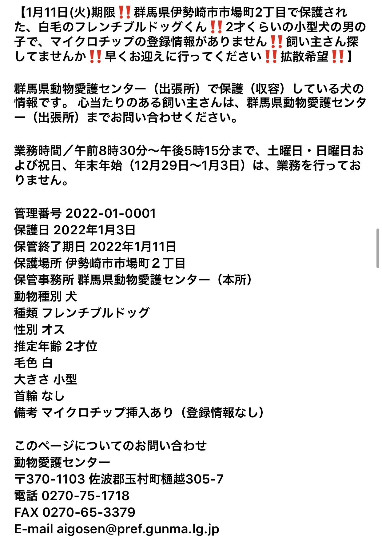 「ブルドッグ保護」1月11日までの期限。早くお迎を！！！