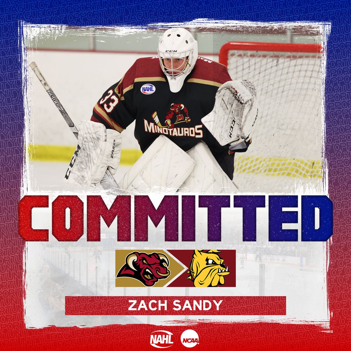 NAHL (@nahlhockey) on Twitter photo #NAHL Commitment Alert: <a href="/MinotauroHockey/">Minot Minotauros</a> goaltender Zach Sandy has committed to play NCAA Division I <a href="/collegehockey/">College Hockey Inc.</a> for <a href="/UMDMensHockey/">UMD Men's Hockey</a> in <a href="/TheNCHC/">The NCHC</a> #MadeintheNA nahl.com/news/story.cfm… #NAHL Commitment Alert: <a href="/MinotauroHockey/">Minot Minotauros</a> goaltender Zach Sandy has committed to play NCAA Division I <a href="/collegehockey/">College Hockey Inc.</a> for <a href="/UMDMensHockey/">UMD Men's Hockey</a> in <a href="/TheNCHC/">The NCHC</a> #MadeintheNA nahl.com/news/story.cfm…