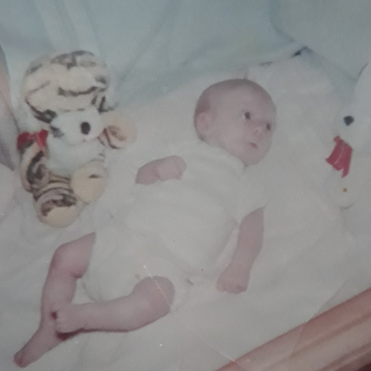 KOrendor's tweet photo. Fifty-five today
Been there. Done that. Let's do more.
Where are my glasses? https://t.co/xrqJRUzKSM