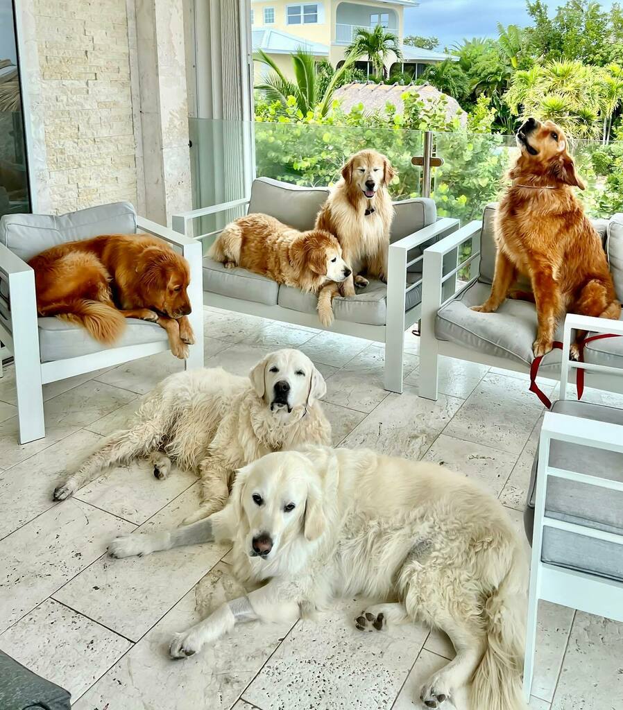 TheGoldenRatio4's tweet photo. Everyone’s natural vibes are turned up to 11 today… https://t.co/GcYznipujA