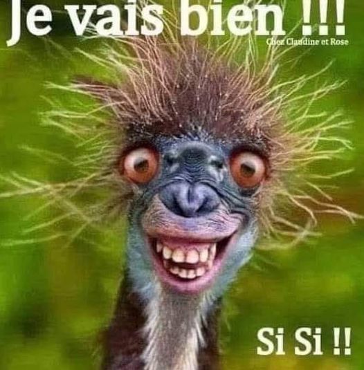 piergiovanni3's tweet photo. @Wonderfolle sans commentaire !!!!!!!!!! https://t.co/W5Z8PU7TzF